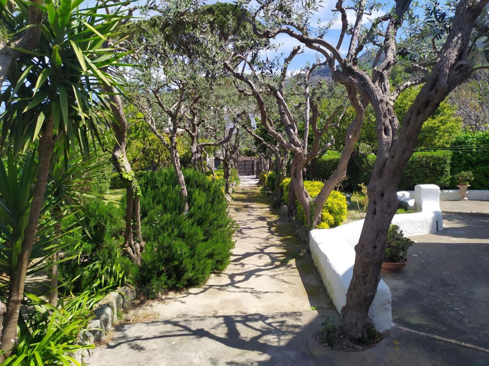 Villa Ravino Secret Retreat Forio  Exterior photo