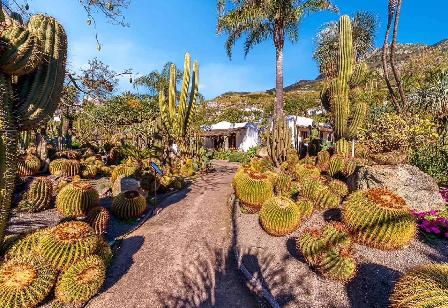 Villa Ravino Secret Retreat Forio  Exterior photo