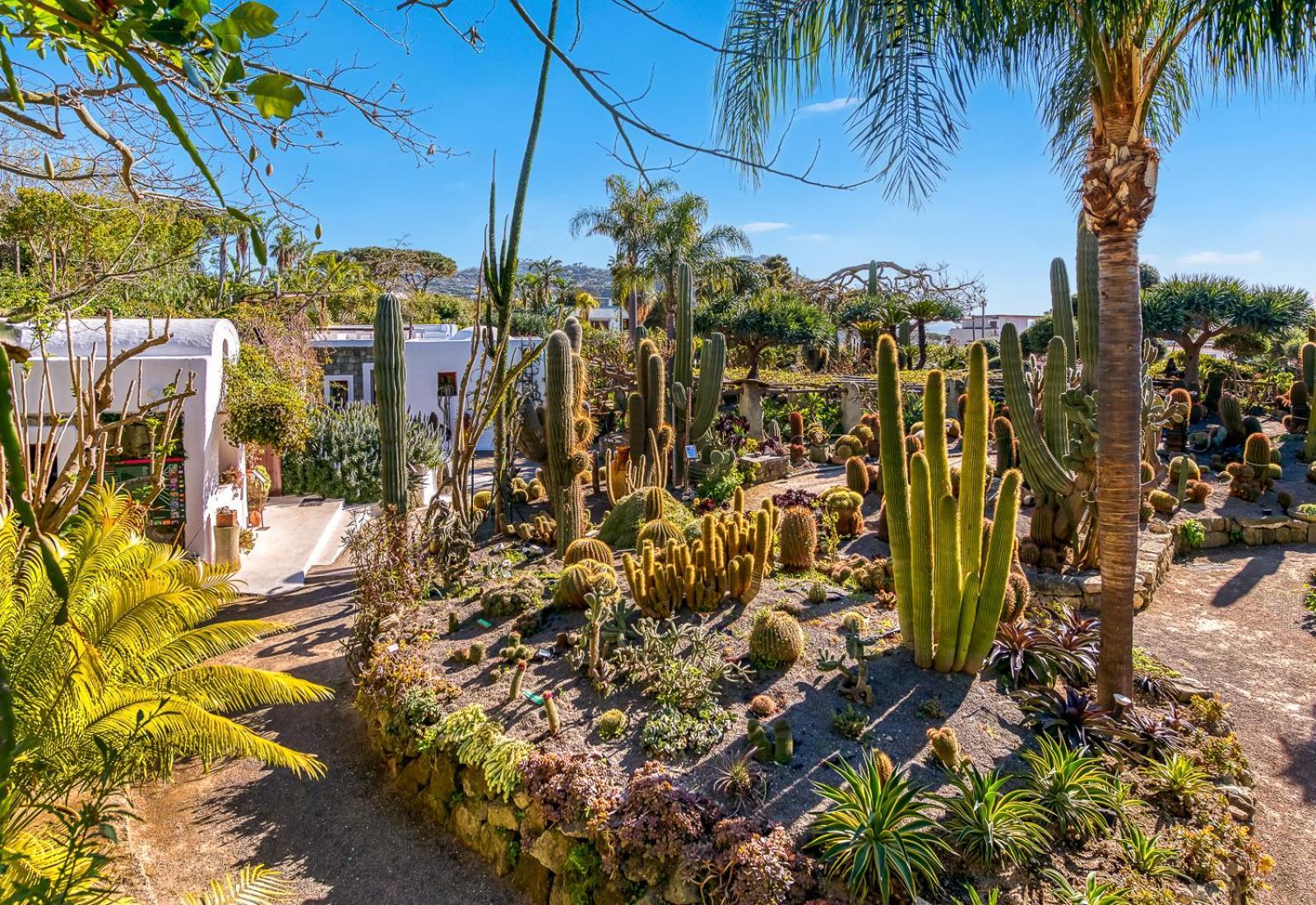 Villa Ravino Secret Retreat Forio  Exterior photo